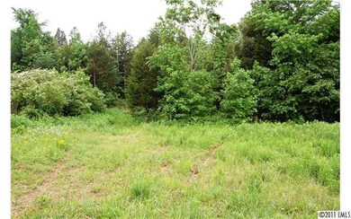 Lot 2 Appaloosa Trail, Iron Station, NC 28080 - photo 3