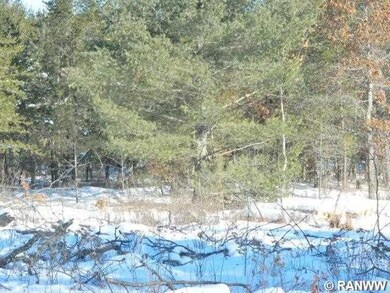 Pcl 2 Woodland Pass, Danbury, WI 54830 - photo 3