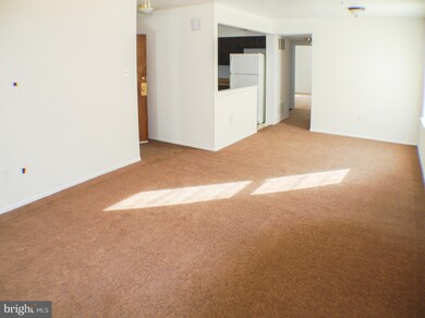 3548 Woodhaven Rd unit B, Philadelphia, PA 19154 - photo 3