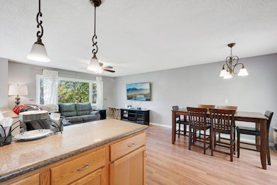 7159 Shad Ave, Hugo, MN 55038 - photo 5