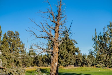 8685 Red Wing Ln, Redmond, OR 97756 - photo 7