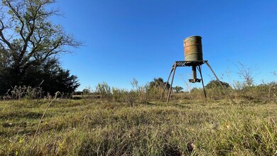 9201 Fm 2096 (+ -44 13 Acres), Franklin, TX 77856 - photo 3