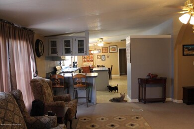 30 Road 3957, Farmington, NM 87401 - photo 6