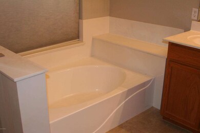 Master Bathroom Tub