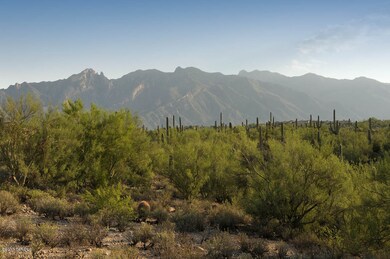 Lovely Desert Vistas