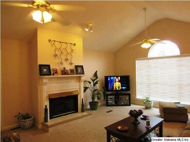 Living with gas log fireplace
