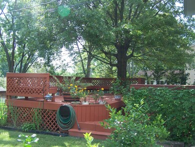 Lush Landscaping
