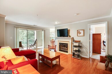 137 Timberbrook Ln unit 203, Gaithersburg, MD 20878 - photo 4