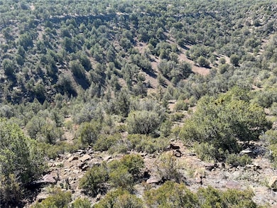 Looking south across the canyon
