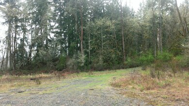 0 State Route 505 unit 753355, Toledo, WA 98591 - photo 5