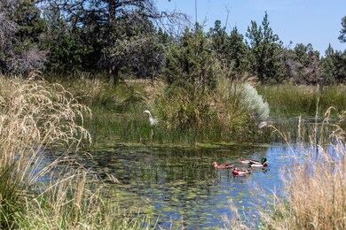 4831 SW Obsidian Ave, Redmond, OR 97756 - photo 3
