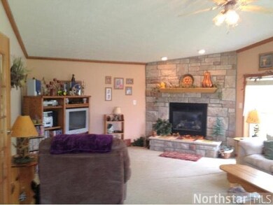 3223 260th St, Cushing, MN 56443 - photo 6