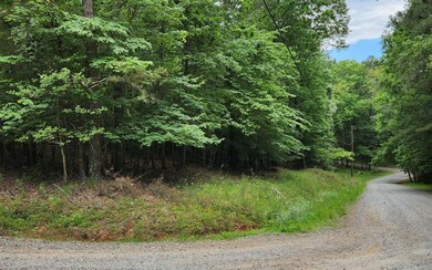 Additional View