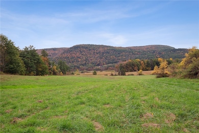 171 W Kill Rd, Jefferson, NY 12093 - photo 4