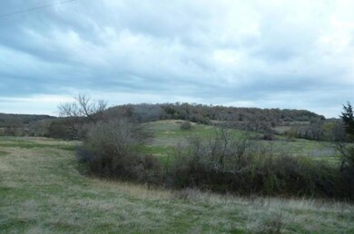 0000 New Harp Loop, Forestburg, TX 76239 - photo 3