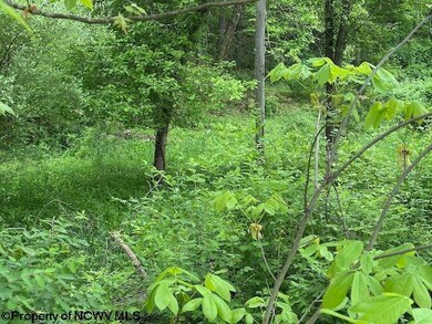 TBD Moyer Hollow Rd, Elkins, WV 26241 - photo 4