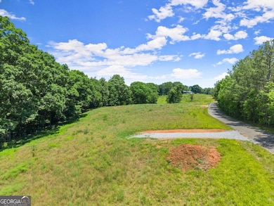 0 Arthur Allen Rd unit 10646088, Cleveland, GA 30528 - photo 7