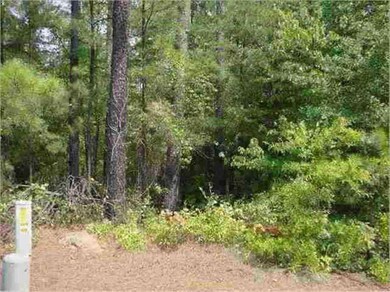 212 Port Side Way, Inman, SC 29349 - photo 6