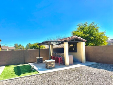 backyard 1