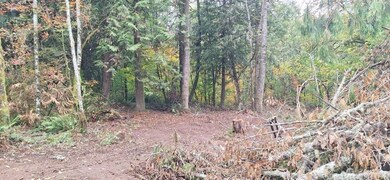 210 Vermillion Rd, Chehalis, WA 98532 - photo 7