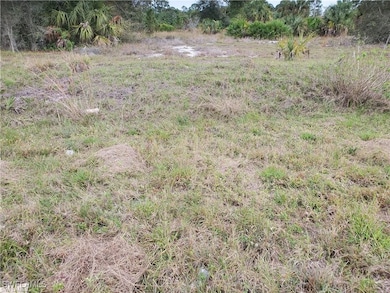 911 Marilyn Ave S, Lehigh Acres, FL 33974 - photo 2