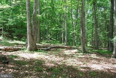 Lot 13 Pleasant Dale Ln, Great Cacapon, WV 25422 - photo 2