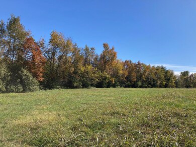 Tract 3 Combs Rd, Nixa, MO 65714 - photo 3