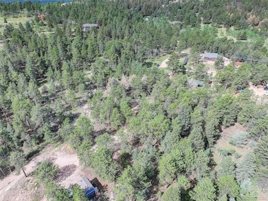 20461 S Wandcrest Dr, Pine, CO 80470 - photo 6