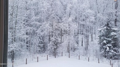Private Back yard