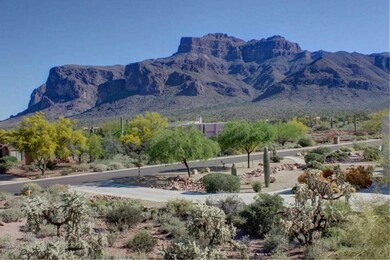 Superstition Mountain View!