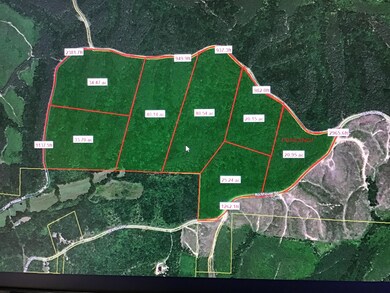 0 Sassafras Ridge Rd unit 1999753, Linden, TN 37096 - photo 2