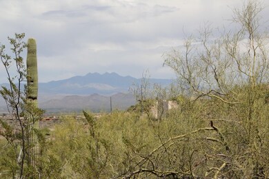 IMG_8175