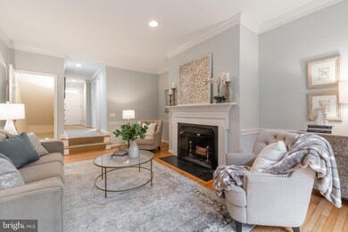 705 W Abingdon Ct, Alexandria, VA 22314 - photo 4