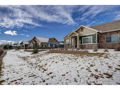 12466 Madison Way, Thornton, CO 80241 - photo 4