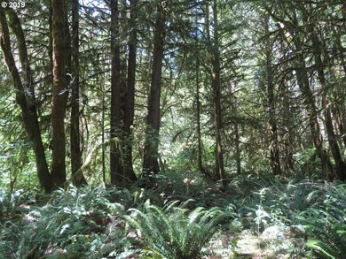 0 Deer Park Ln unit 20 19039654, Toledo, WA 98591 - photo 2