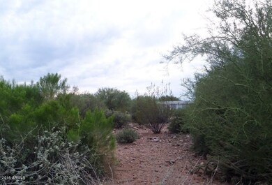 Picture 6