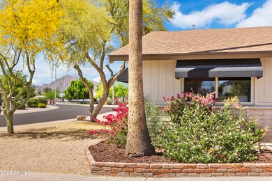 Camelback views from front