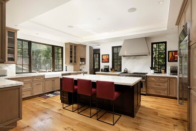 235 Exhibition Ln, Aspen, CO 81611 - photo 6