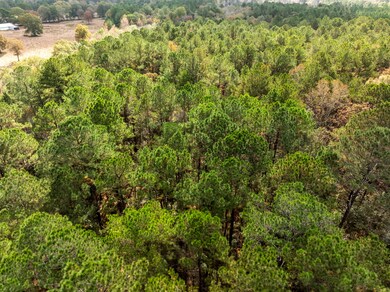 000 Hwy 11, Moselle, MS 39459 - photo 7