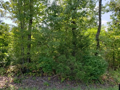 Land View