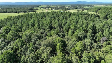 Unk Oklahoma 4, Watson, OK 74963 - photo 3