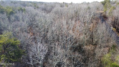 DJI_0234