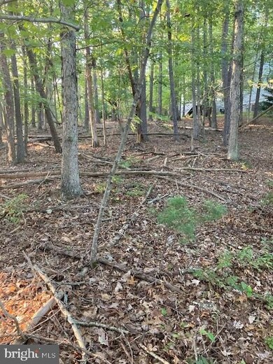 0 Nelson Way unit VASH2001076, Basye, VA 22810 - photo 3