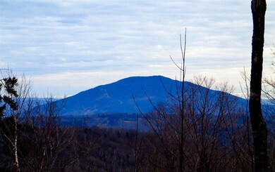 1730 Kittridge Pasture Rd, Reading, VT 05062 - photo 3