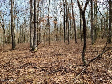 108 Mountain Top Rd, Lackawaxen Township, PA 18435 - photo 3