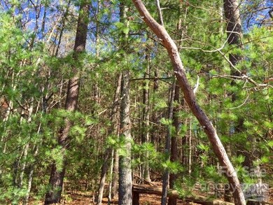 Homesite from water