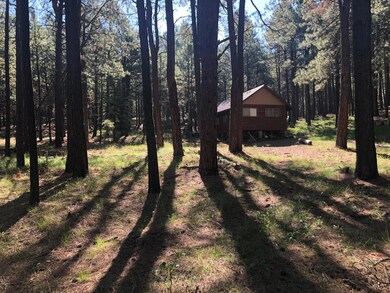 2570- expanded lot photo