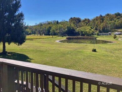 View from Front Deck