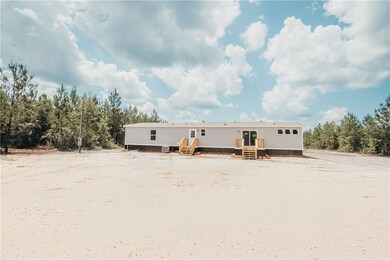 1100 Boots Harrison Rd, Hortense, GA 31543 - photo 3