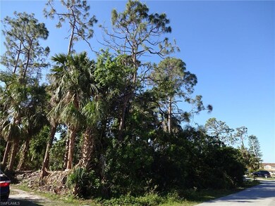 View from adjacent lot to left county right of way
